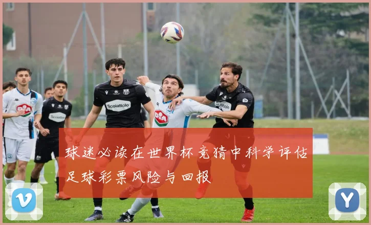 球迷必读在世界杯竞猜中科学评估足球彩票风险与回报