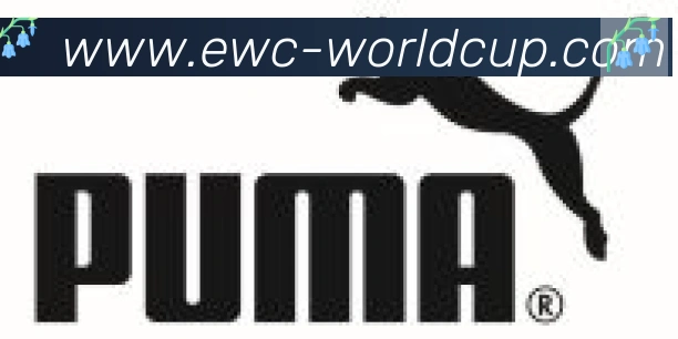 EWC电竞世界杯合作伙伴